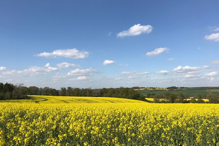 Cotswolds Villages Full-Day Small-Group Tour from Oxford