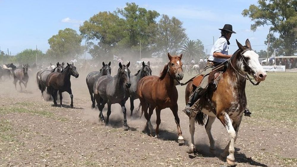 Gaucho Day Trip from Buenos Aires: Don Silvano Ranch
