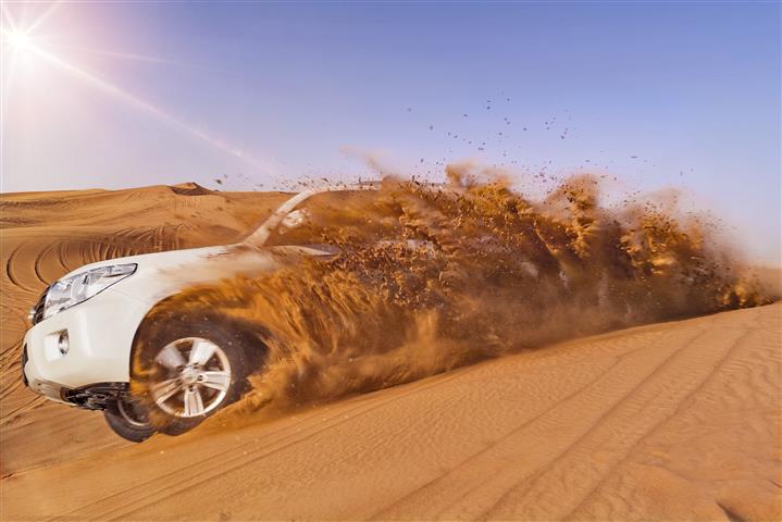 Desert Safari Experience