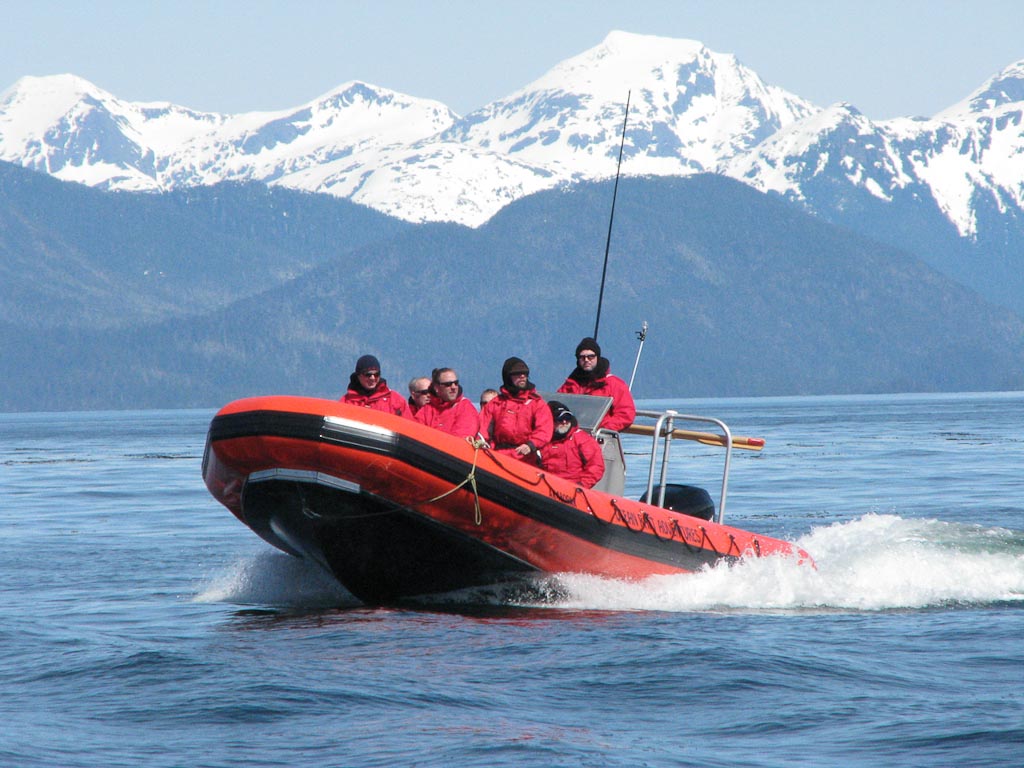 Alaska Wildlife Safari by Ocean Raft and ATV