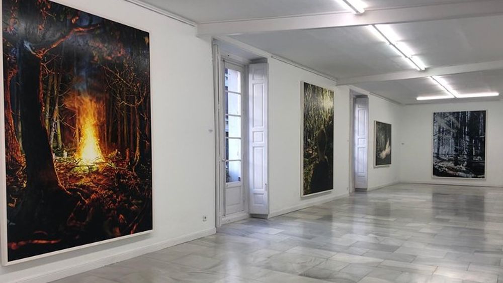 Madrid Art Galleries and Studio Tour