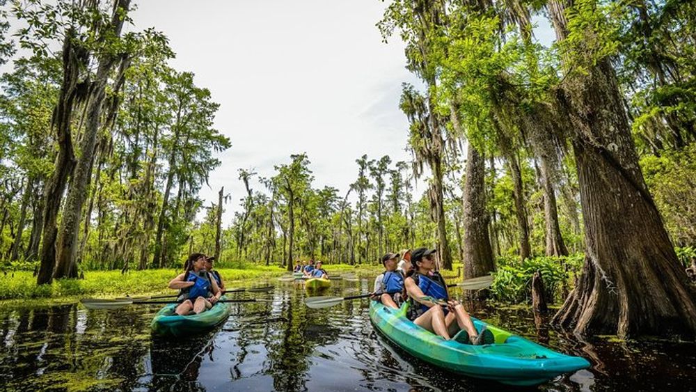 New Orleans to Louisiana Bayou: Manchac Swamp Group Kayak Tour