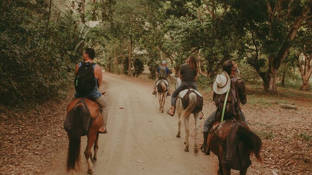 Jaco Horseback Riding Adventure Tours
