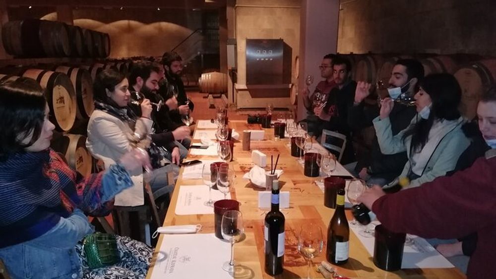 Superior Quality: The Bekaa Valey Wineries (full day)