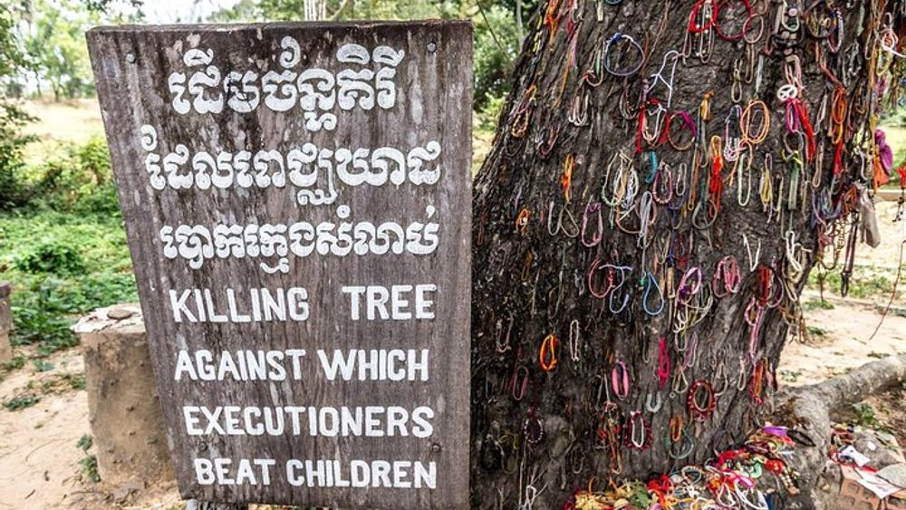 Half-Day Phnom Penh Killing Fields and S21 Museum Tour