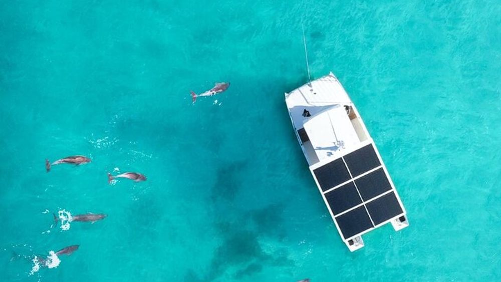 Key West Small Group Dolphin Viewing & Snorkeling Tour