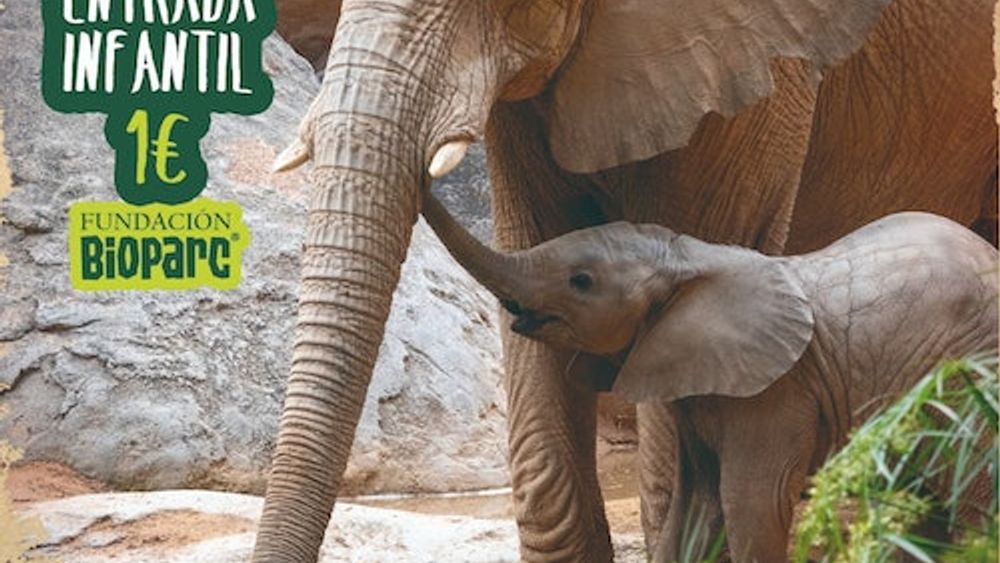 Bioparc Valencia: Fast Track Ticket