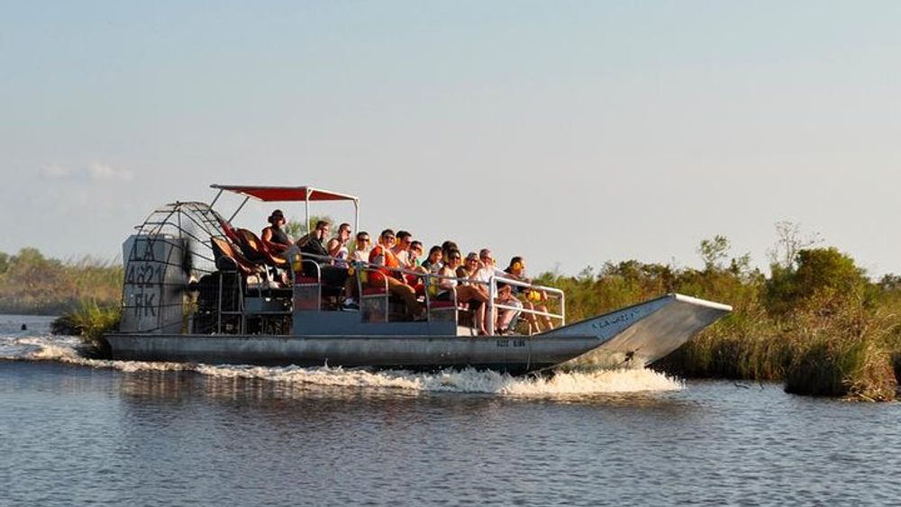 Louisiana Wetlands Airboat Ride, 4-Hour Tour from New Orleans