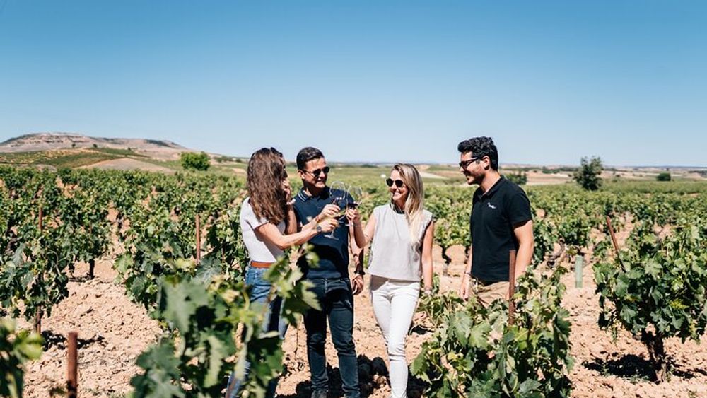 Premium Winery Full-Day Tour from Madrid