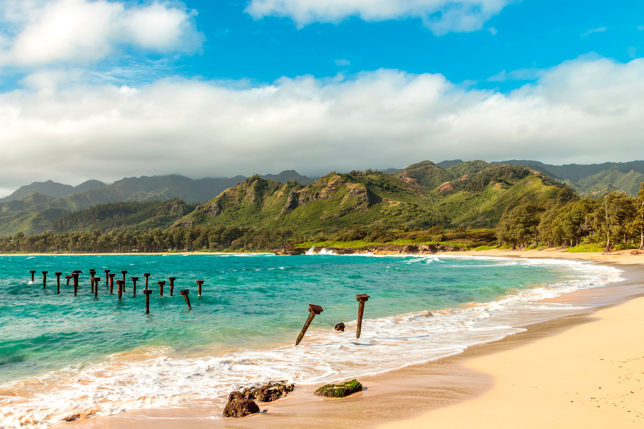 10A Discover the North Shore Tour Departing Waikiki Hotels