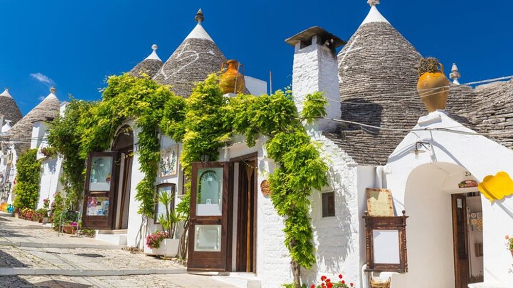Alberobello, Monopoli Polignano Small-Group Guided Tour from Bari