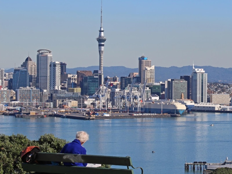 Devonport Mount Victoria Scenic Segway Tour