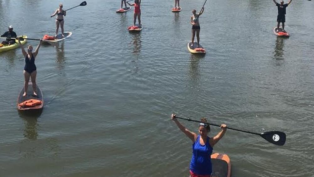 St. Augustine Paddle Board or Kayak Tour with Wildlife Viewing