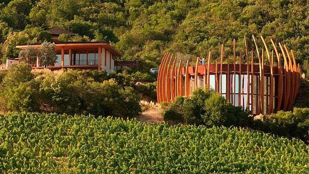 Colchagua Valley Experience