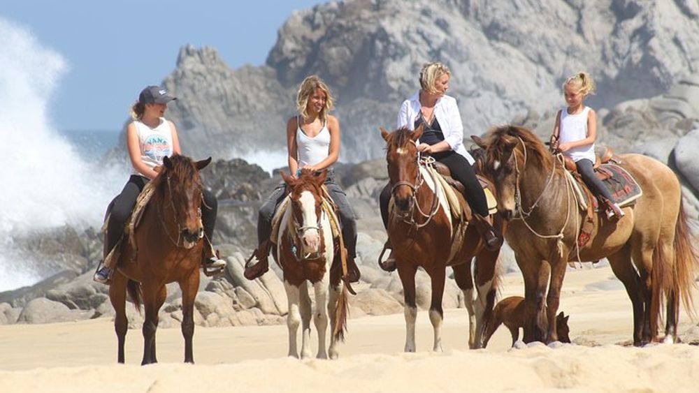 Cabo San Lucas Pacific Horseback Riding Tour