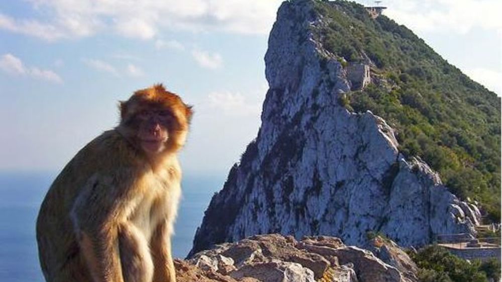 Gibraltar Rock Tour from Seville