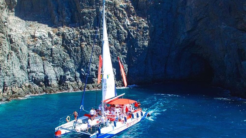 Whale Watching and Listening Eco Catamaran Tour with Food Tasting