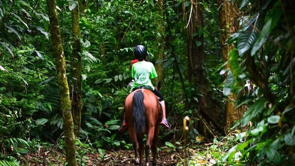 Arenal Volcano National Park Horseback Riding Adventure Tour