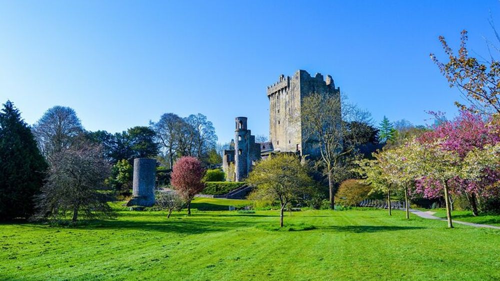 Easy Access Blarney Stone and Castle Gardens Tour