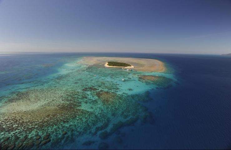 Green Island Reef by Big Cat - Day Tour