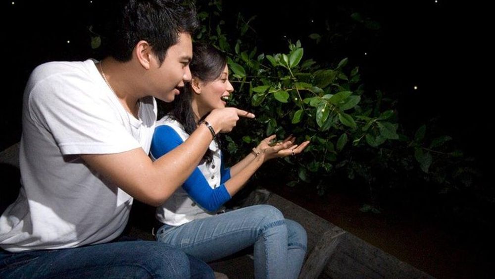 The Amazing Kuala Selangor Fireflies Tour with Dinner