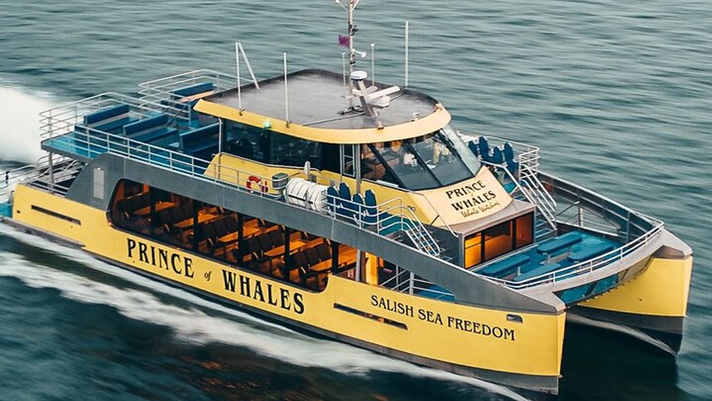 Vancouver Half-Day Sunset Whale-Watching Cruise