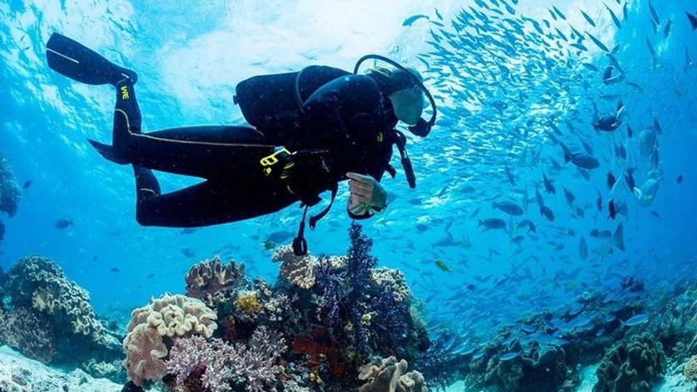 Full Day Diving Tour in Cairo, Egypt