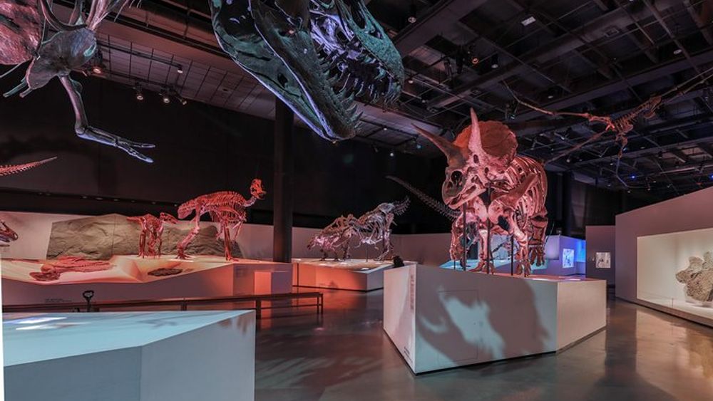 Houston Museum of Natural Science General Admission