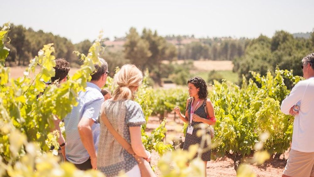 Montserrat Tour with Lunch and Gourmet Wine Tasting