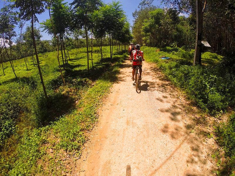 20 km Jungle Cycling Tour Through Lush Green Krabi