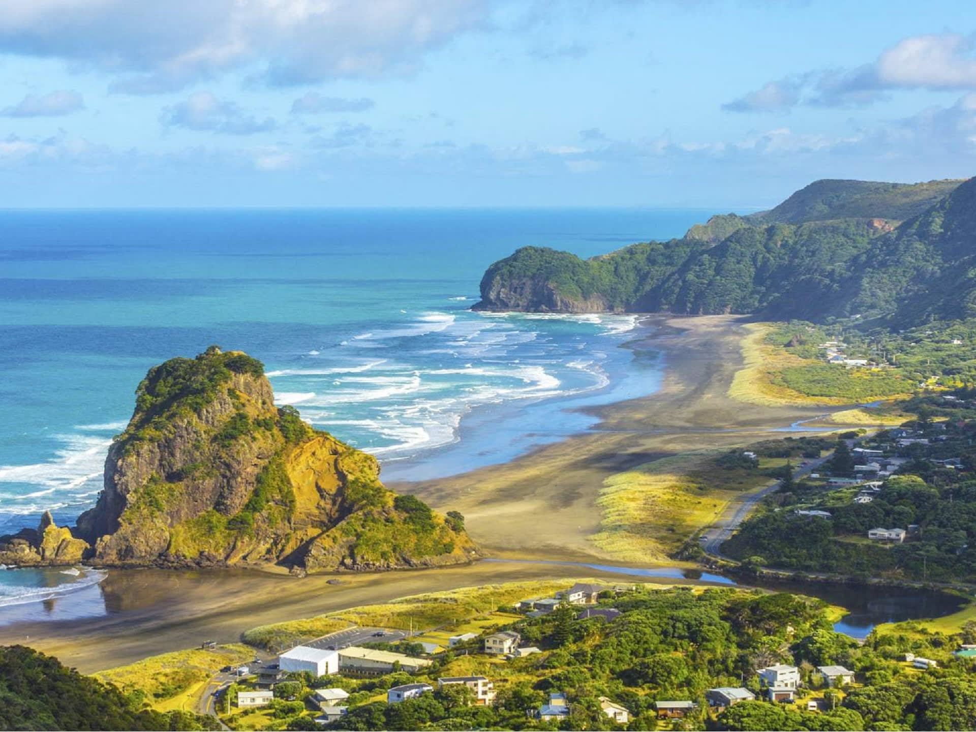Muriwai Beach Gannet Eco Tour