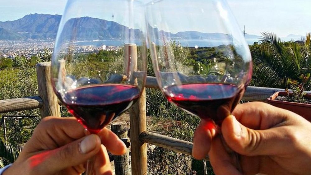 Wine Tasting on the slopes of Vesuvius from Naples with Lunch