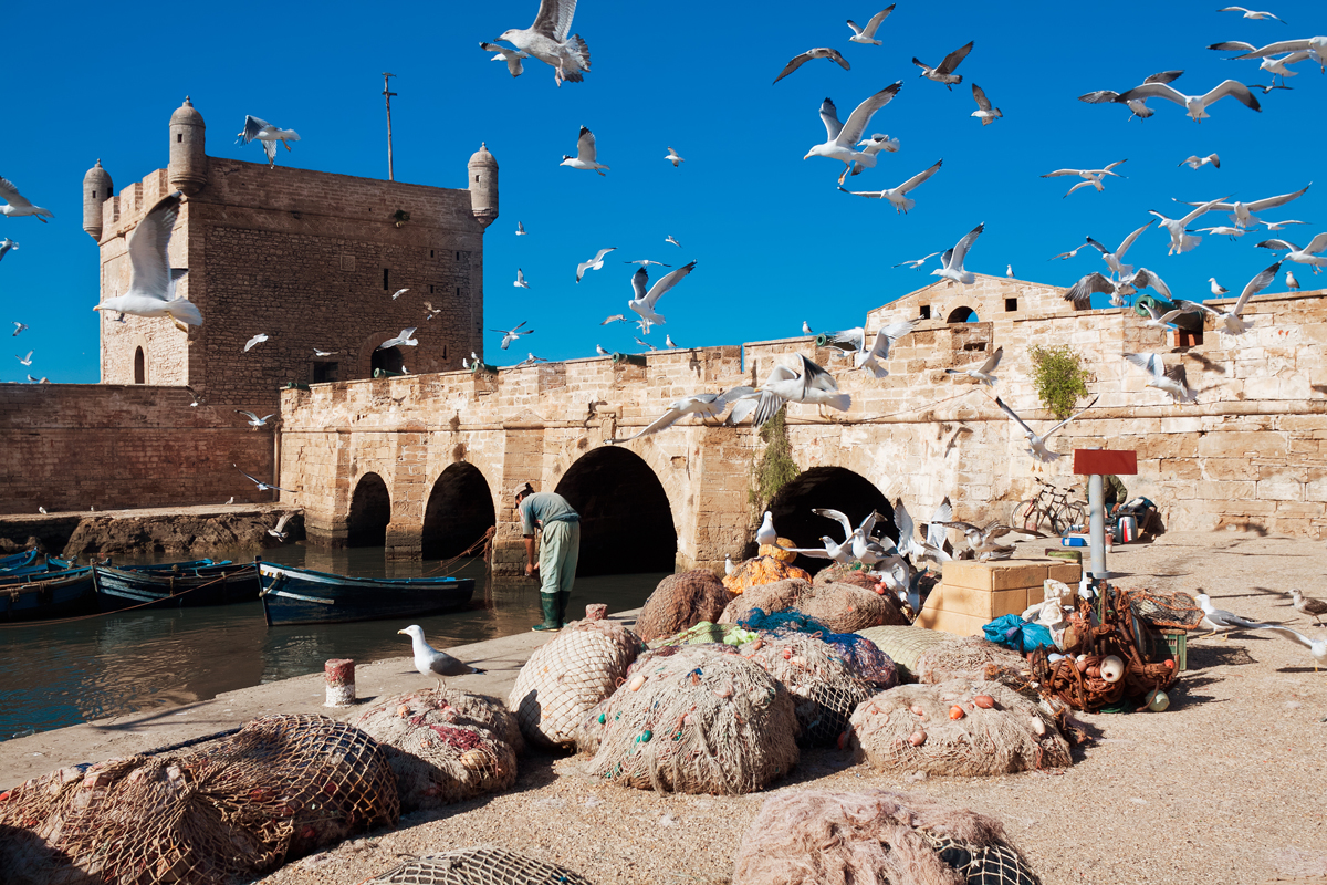 Marrakech: Essaouira Full-Day Trip with Sunset Camel Ride