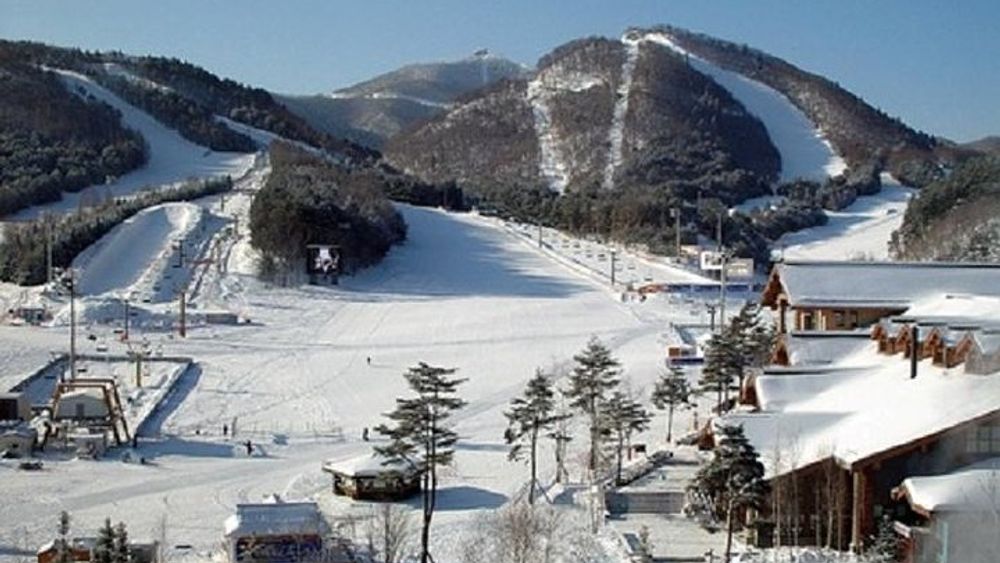 Jisan Ski Resort from Seoul Transfer and Ski Lesson Packages