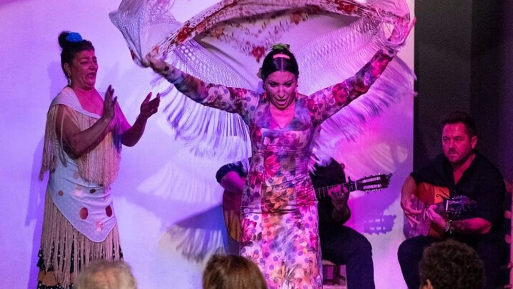 Flamenco show at the foot of the Giralda in Seville