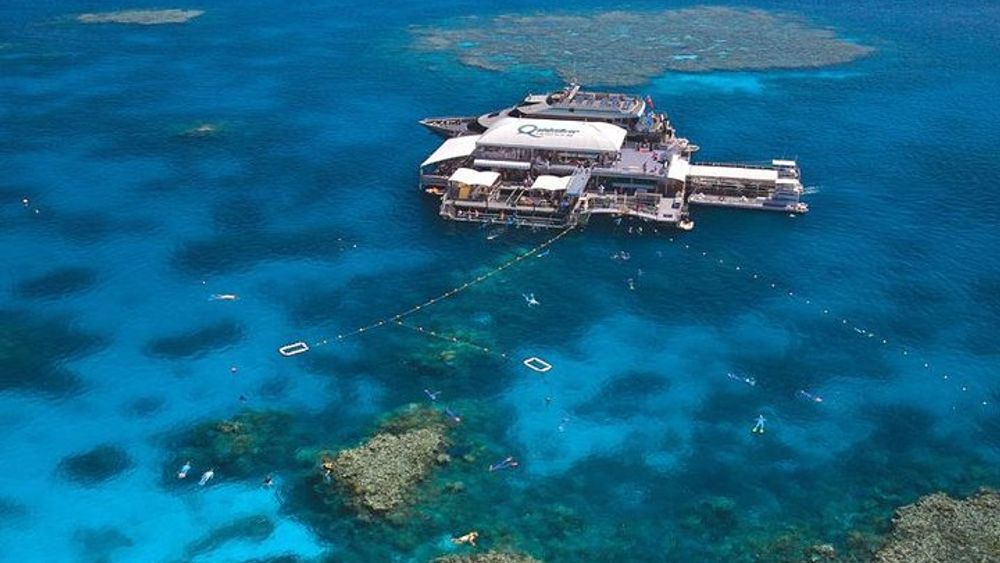 Quicksilver Great Barrier Reef Snorkel Cruise from Palm Cove
