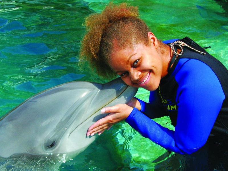 Miami Seaquarium Swim with Dolphins Tour
