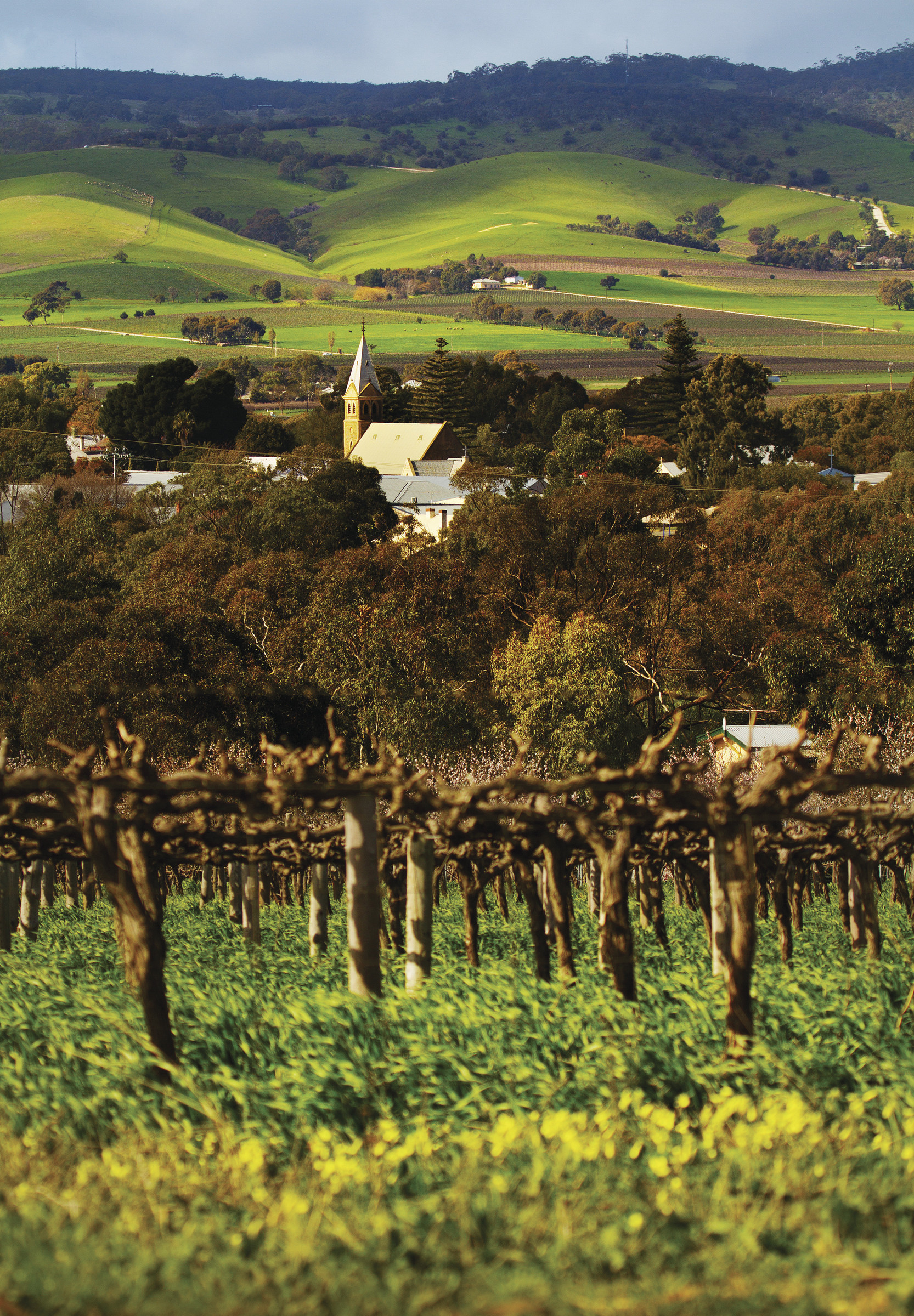 Barossa Valley Hop On Hop Off Tour - City Pick Up & Return
