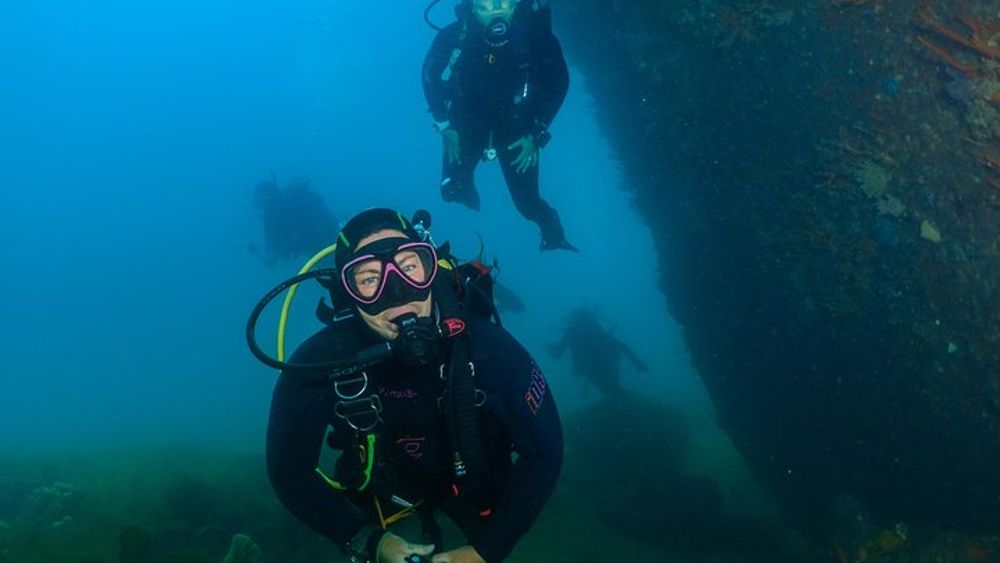 Rottnest Island Scuba Diving: Small-Group Trip from Fremantle