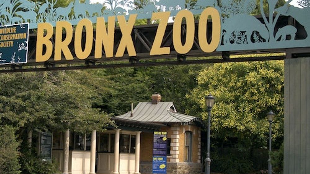 Bronx Zoo