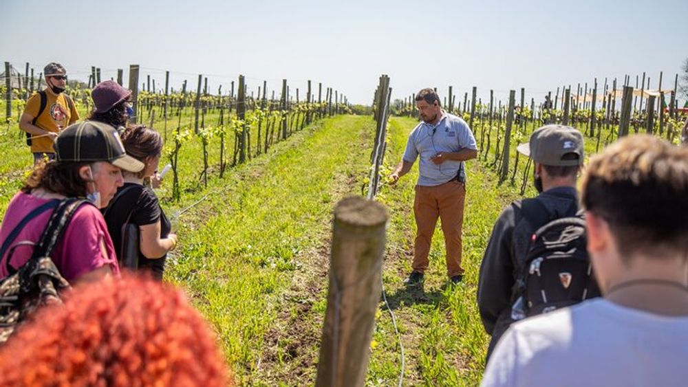 Buenos Aires Small-Group Bodega Gamboa Wine Tasting Tour