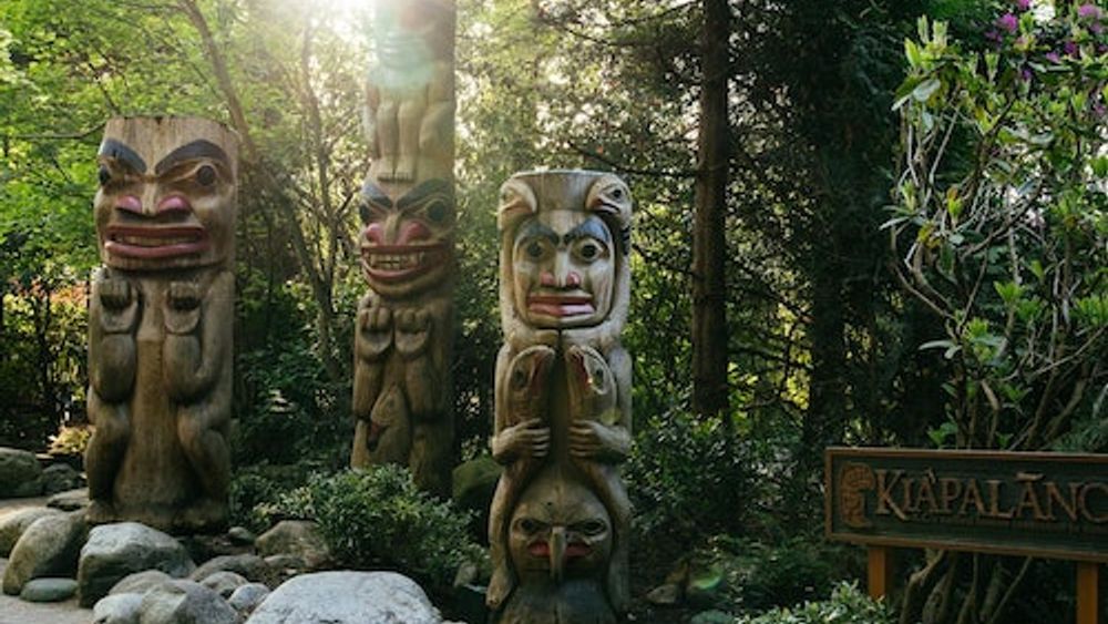 Capilano Suspension Bridge Park: Entry Ticket