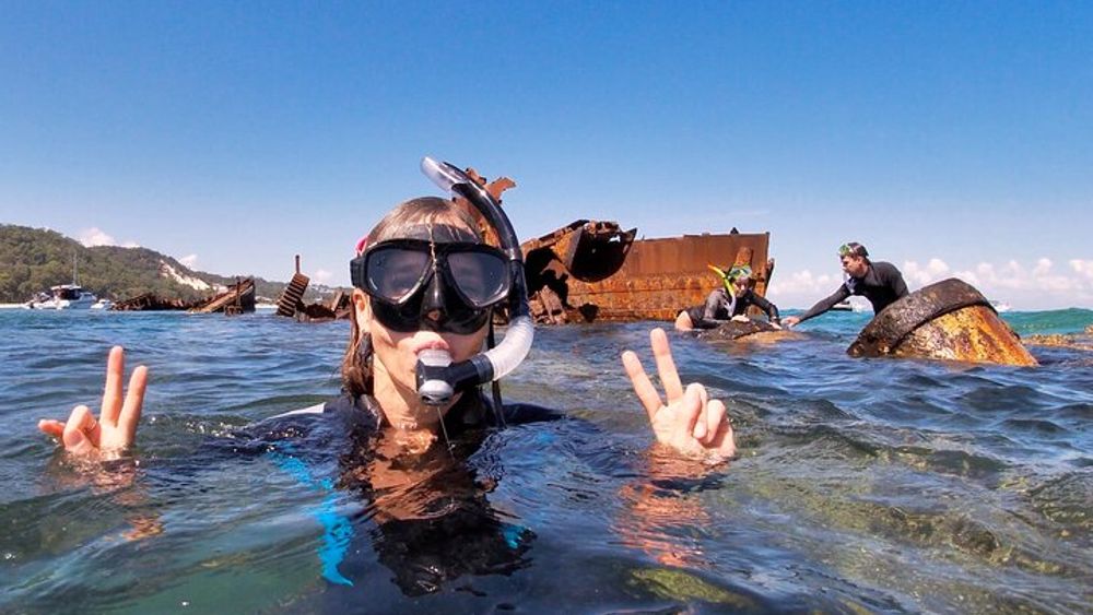 Brisbane Half-Day Moreton Bay, Tanalooma Wrecks Snorkel Tour