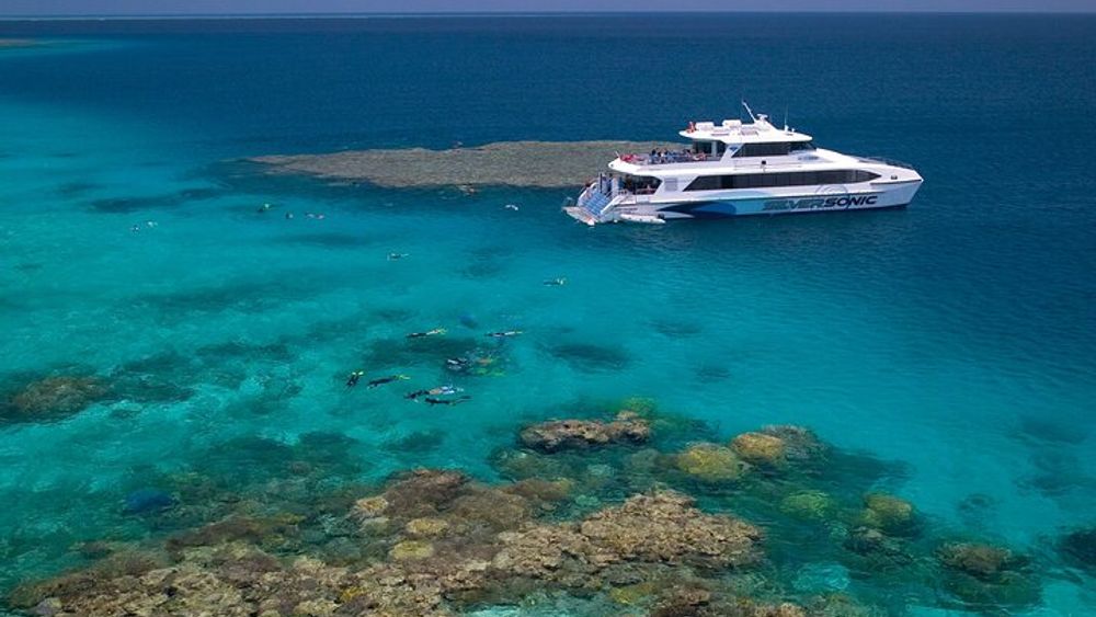 Great Barrier Reef Dive and Snorkel Cruise from Pt. Douglas