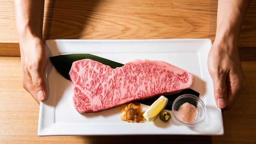 Small-Group Wagyu Beef and Sake Pairing Meal, Shinjuku
