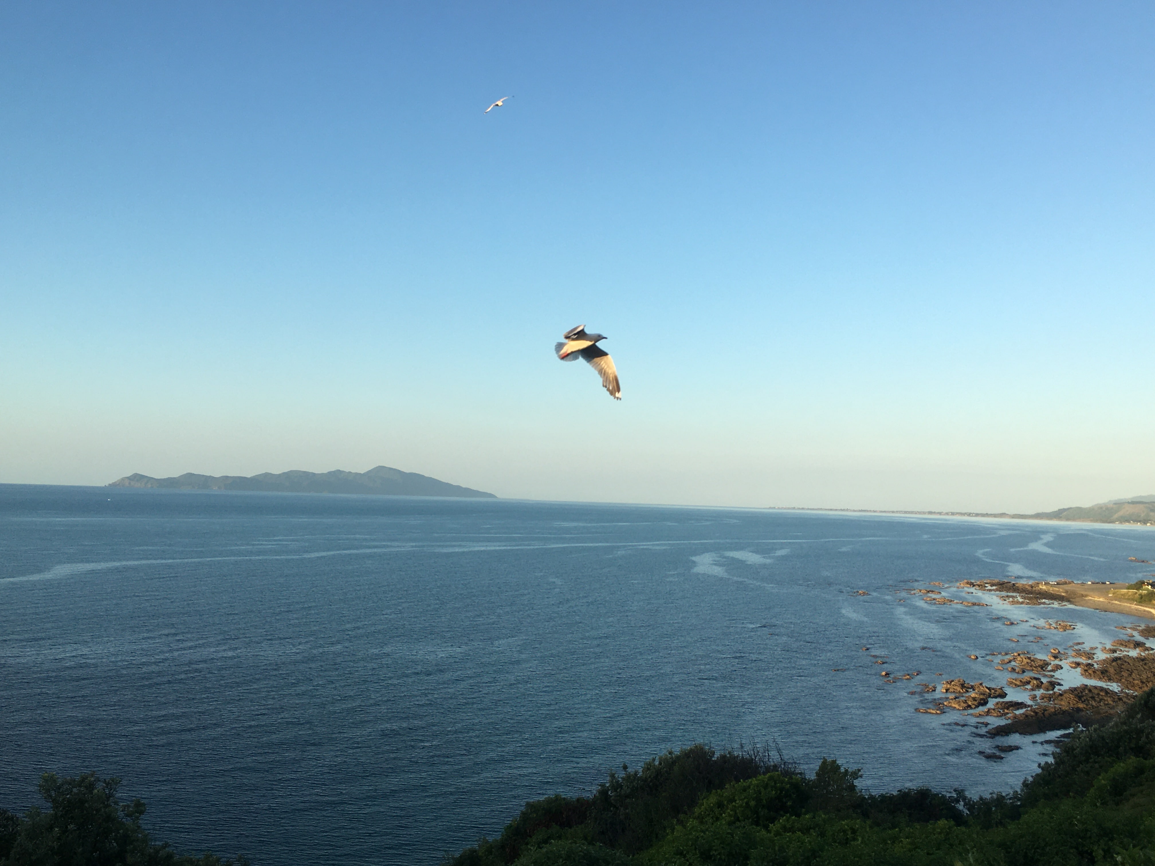 Scenic Kapiti Coast Tour
