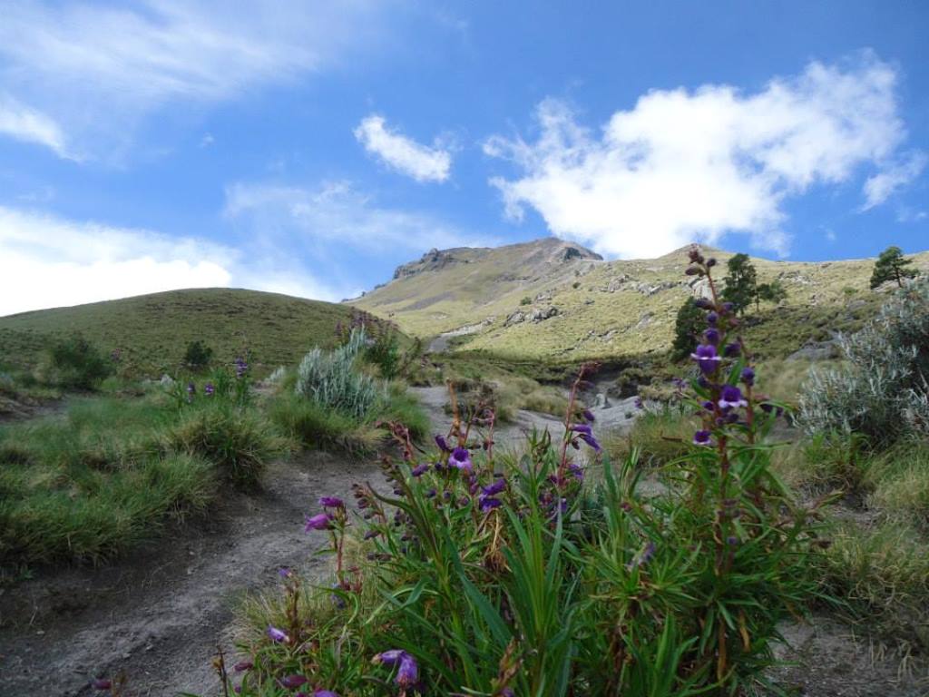 Mexico: La Malinche Volcano Private Hiking Tour