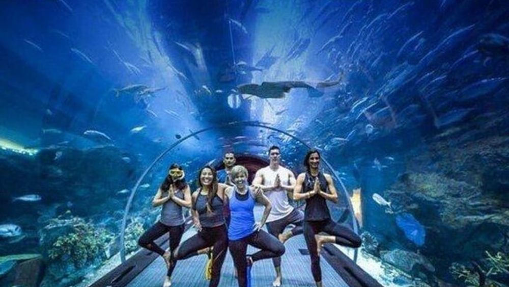 Dubai Mall Aquarium and Skyview Observatory Tickets