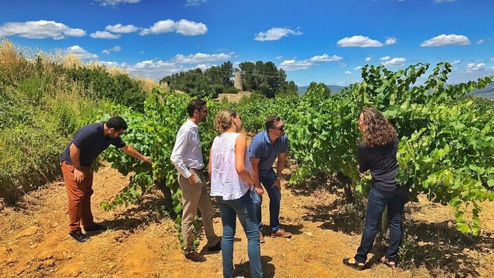 Wine & Cava Tour with Tasting from Barcelona