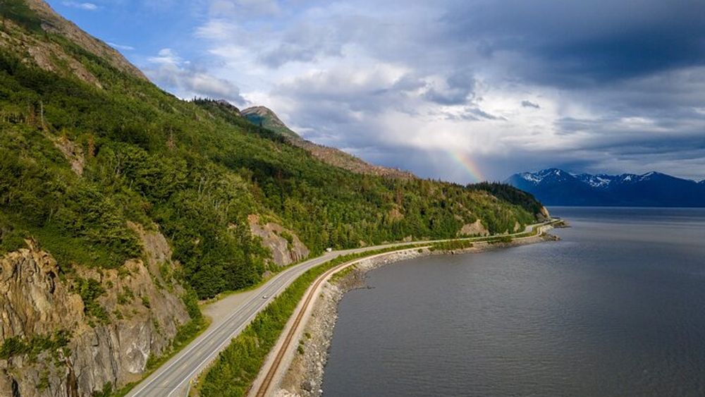 Seward to Anchorage- Post Cruise Curated Wildlife Tour +Transfer